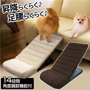 ペットスロープ 【小〜中型犬向】 14段階角度調節機能付き ブラウン 〔ペット用品〕