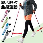 ノルディックポール(ウォーキングポール) 伸縮長さ：85〜120cm スリム収納ケース付き ブラック(黒)