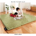 コンパクト収納ラグマットと洗えるカバー2点セット【4： 約200cm×290cm】 長方形/厚手 グリーン(緑)