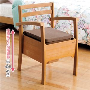 テイコブ アクアポッテ(椅子型ポータブルトイレ) 樹脂製 バケツタイプ 丸洗い/高さ調節可 肘付き