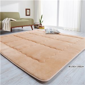 シルキータッチ極厚ふっくらボリュームラグマット 【3： 約190×240cm】 長方形/厚手 ベージュ