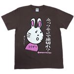【アホ研究所・アホTシャツ・自虐Tシャツ・おもしろTシャツ】毒舌うさこ え？逆切れ？ Lサイズ グレー