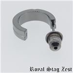 sp25-005 Royal Stag ZEST（ロイヤル・スタッグ・ゼスト） ピアス・イヤーカフ メンズ