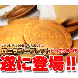 ゴーフレット☆どっさり１２０枚入り
