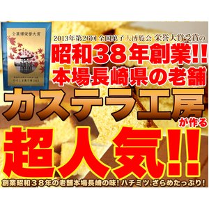 本場長崎のプレーンカステラ大容量２ｋｇ（６本セット）≪常温商品≫