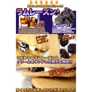 レーズンごろごろ★高級レーズンサンドどっさり60個≪常温商品≫