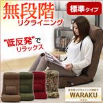 腰にやさしい！低反発入りのレバー付きリクライニング座椅子【-WARAKU-ワラク】（標準タイプ） フラワー
