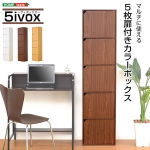 A4サイズ収納OK！扉付きカラーボックス【-5ivox-フィボックス】 ダークブラウン