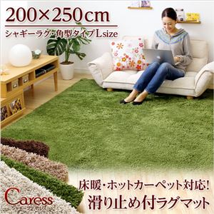 （200×250cm）マイクロファイバーシャギーラグマット【Caress-カレス-（Lサイズ）】 ベージュ
