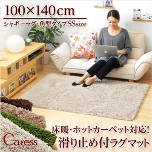 （100×140cm）マイクロファイバーシャギーラグマット【Caress-カレス-（SSサイズ）】 ベージュ