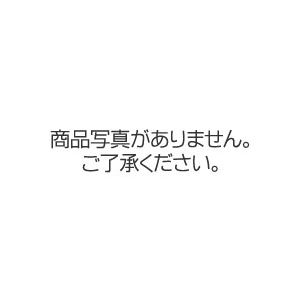 【純正品】 エプソン（EPSON） インクカートリッジ ブラック 型番：ICTM70B-S 単位：1個