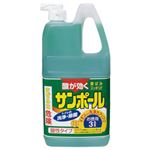 大日本除虫菊 サンポール 業務用 1本（3L）