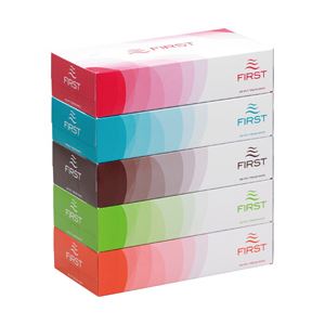 大昭和ファースト ボックスティシュ ファースト 400枚・200組 1パック／5箱 1箱（12パック） ファースト200W5P-ハコ