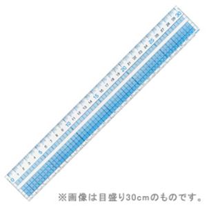 （業務用セット） レイメイ 見やすい方眼定規 目盛り15cm 【×40セット】