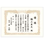 （業務用セット） オキナ OA対応賞状用紙 10枚入 B5 タテ書き  【×20セット】
