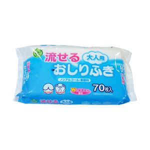 （業務用セット） 大一紙工 介護用ウエット 流せる大人用おしりふき 70枚 【×10セット】