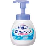 （業務用セット） 花王 ビオレU 泡で出てくるハンドソープ 本体 【×10セット】