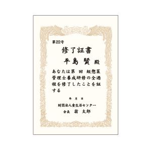 （業務用セット） オキナ OA対応賞状用紙 10枚入 B4 ヨコ書き 【×10セット】