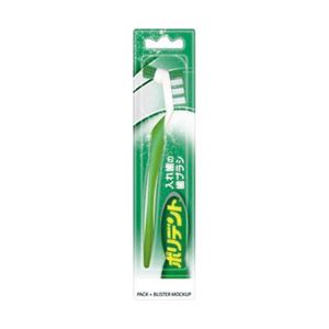 （業務用セット） アース製薬 ポリデント入歯のハブラシ 1本 【×5セット】