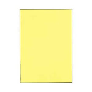 （業務用セット） カラーペーパー【冊】 A4 クリーム 1冊（500枚） 【×5セット】