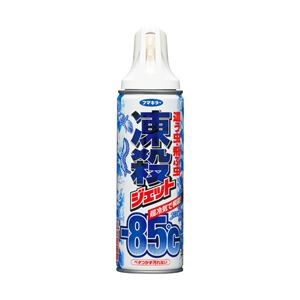 （業務用セット） フマキラー 凍殺ジェット 1本 300ml 【×3セット】