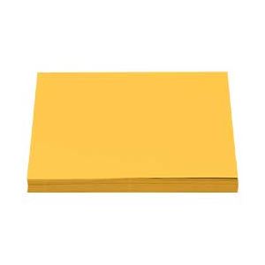 （業務用セット） NEWファインカラー オレンジ A3 1冊（500枚） 【×3セット】