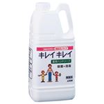 （業務用セット） ライオン キレイキレイ 薬用ハンドソープ 業務用 1本（2L） 【×2セット】