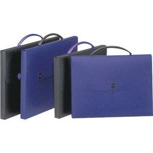 デザインケース DS-273 ブラック