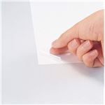 モノクロレーザープリンタ・モノクロPPC用フィルムラベル A4判 10シート 透明 LF-A4C