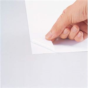 モノクロレーザープリンタ・モノクロPPC用フィルムラベル A4判 10シート ホワイト・つや消し LF-A4W