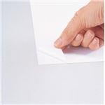モノクロレーザープリンタ・モノクロPPC用フィルムラベル A4判 10シート ホワイト・光沢 LF-A4WG