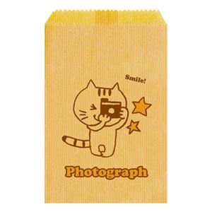 (業務用セット) PHOTO ぶくろ Lサイズ （Photograph） PEV-402-1【×20セット】