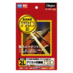 (業務用セット) インクジェット用紙 デジカメ印画紙PRO 強光沢・超厚手 2L判 10枚 PRSK-2LH-10G【×5セット】
