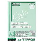 (業務用セット) コピー＆プリンタ用紙 カラータイプ A3 100枚入 HCP-3101-G【×5セット】