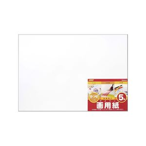 (業務用セット)ナカバヤシ 画用紙四ツ切 SD-カ-102【×20セット】