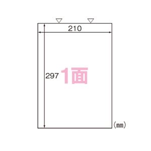 ヒサゴ カルバッシュ マルチプリンタラベル A4判 500枚入 FSCK862 500枚