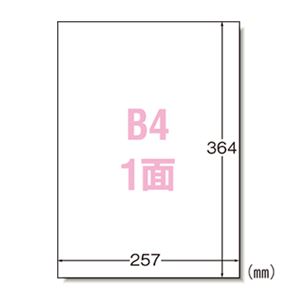 エーワン ラベルシール〈プリンタ兼用〉 マット紙 ノーカットタイプ 28423 100枚