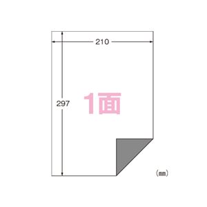 エーワン ラベルシール〈プリンタ兼用〉下地がかくせる修正タイプ マット紙（A4判） 100枚入 31282 100枚
