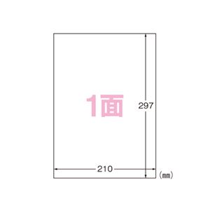 （業務用セット） エーワン 屋外でも使えるサインラベルシール 光沢フィルム・透明 31032 透明 10枚入 【×2セット】