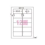 （業務用セット） エーワン 特殊素材ラベル 光沢フィルム・透明 31581 10枚入 【×2セット】