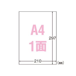 （業務用セット） エーワン 屋外でも使えるサインラベルシール ツヤ消しフィルム・ホワイト 31031 10枚入 【×3セット】