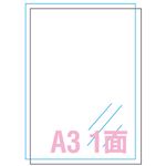 （業務用セット） エーワン 屋外でも使えるサインラベルシール UVカット保護カバー付きタイプ 光沢フィルム・ホワイト 31046 3セット 【×2セット】