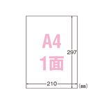 （業務用セット） エーワン 屋外でも使えるサインラベルシール 粗面に貼れるタイプ ツヤ消しフィルム・ホワイト 31043 5セット 【×2セット】