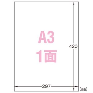 （業務用セット） エーワン 屋外でも使えるサインラベルシール 光沢フィルム・ホワイト 31044 5枚入 【×2セット】