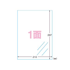 （業務用セット） エーワン フィルムラベルシール A4判 キレイにはがせるタイプ 光沢フィルム・透明 29289 5枚入 【×2セット】