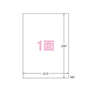 （業務用セット） エーワン フィルムラベルシール A4判 ツヤ消しフィルム・透明／光沢フィルム・ホワイト 28795 10枚入 【×2セット】