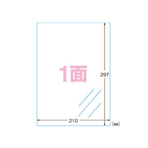 （業務用セット） エーワン フィルムラベルシール A4判 光沢フィルム・透明 28791 10枚入 【×2セット】