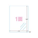 （業務用セット） エーワン フィルムラベルシール A4判 光沢フィルム・透明 28791 10枚入 【×2セット】