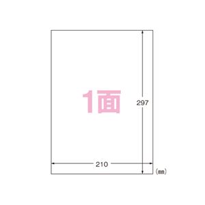 （業務用セット） エーワン フィルムラベルシール A4判 水に強いタイプ 光沢フィルム・透明（やや乳白色） 29293 4枚入 【×2セット】