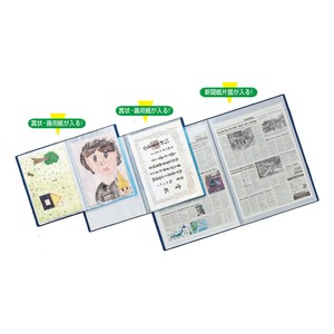（業務用セット） リヒトラブ リクエスト・透明クリヤーブック （20ポケット） G3117-1 クリヤー 1冊入 【×2セット】